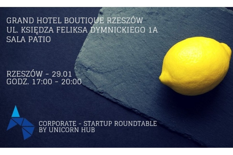 Corporate-Startup Roundtable